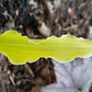 Wiggles And Squiggles Hosta Plants online shopping