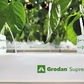 Grodan Supreme Slab Capsicum Cultivation Rock Wool Hydroponics Substrate
