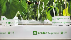 Grodan Supreme Slab Capsicum Cultivation Rock Wool Hydroponics Substrate