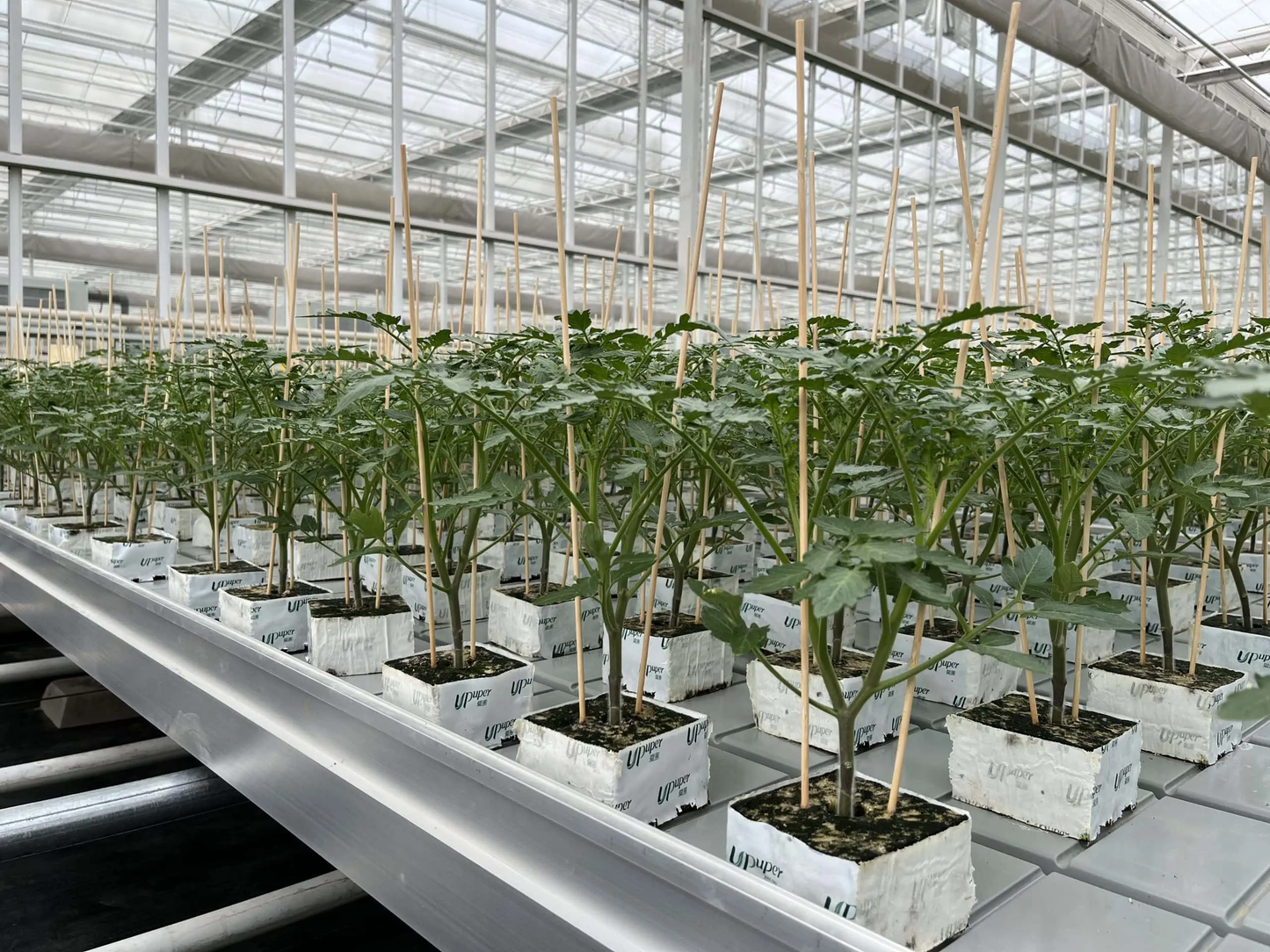 Active Aqua 4' Wide Infinity Tray  Ebb and Flow Flood Table