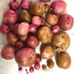 Red Pontiac Seed Potato online shopping