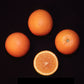 Dom João Valencia Orange Budwood citrus plant material online shopping
