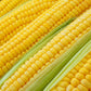 Bodacious F1 Corn