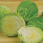 Nautic Coated Organic Brussels Sprout