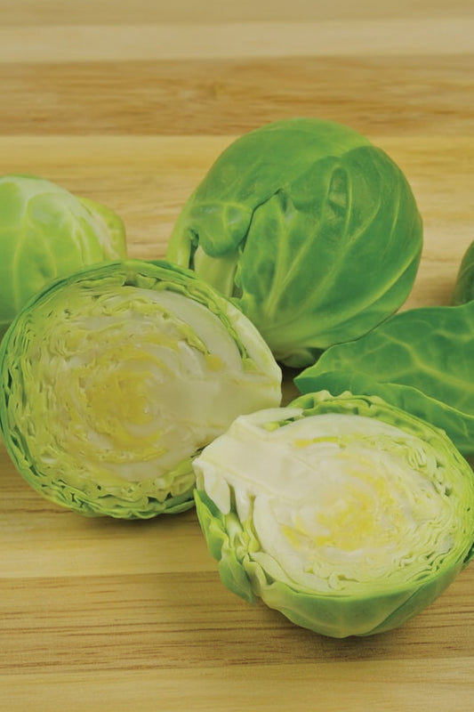 Nautic Coated Organic Brussels Sprout Seeds online shopping