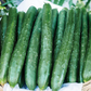 Tasty Emperor F1 Cucumber