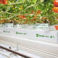 Grodan Elite Slab Tomato Cultivation Rock Wool Hydroponics Substrate