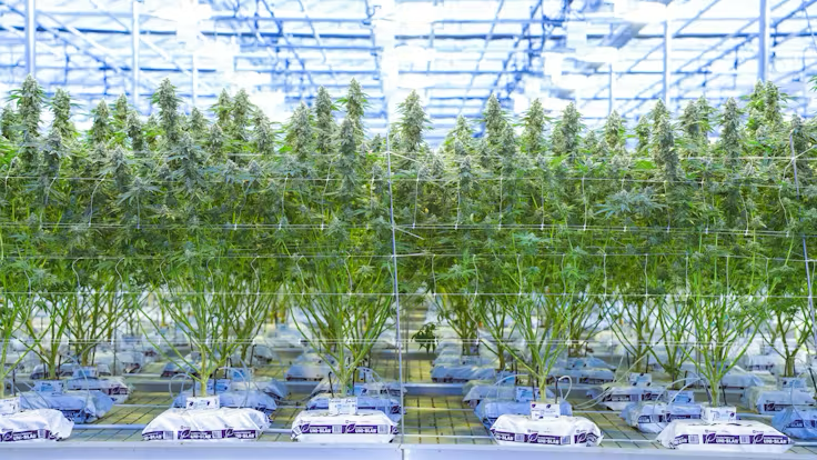 Grodan Pargro® Single Slab