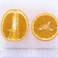 Jincheng Sweet Orange Budwood citrus plant material online shopping