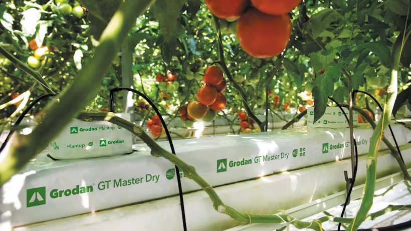Grodan GT Master Dry Slab Vegetable Growing Rock Wool Hydroponics Subs ...