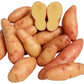 Rose Finn Apple Fingerling Heirloom Seed Potato online shopping