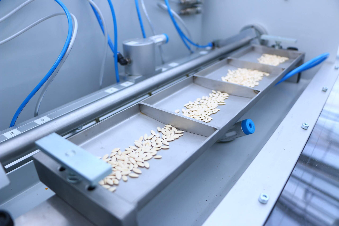 Viscon Granette Seeder