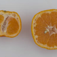 Miyagawa Satsuma Mandarin Budwood citrus plant material online shopping