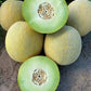 Diplomat F1 Melon