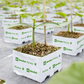 Grodan Plantop Block Propagation Rock Wool Hydroponics Substrate