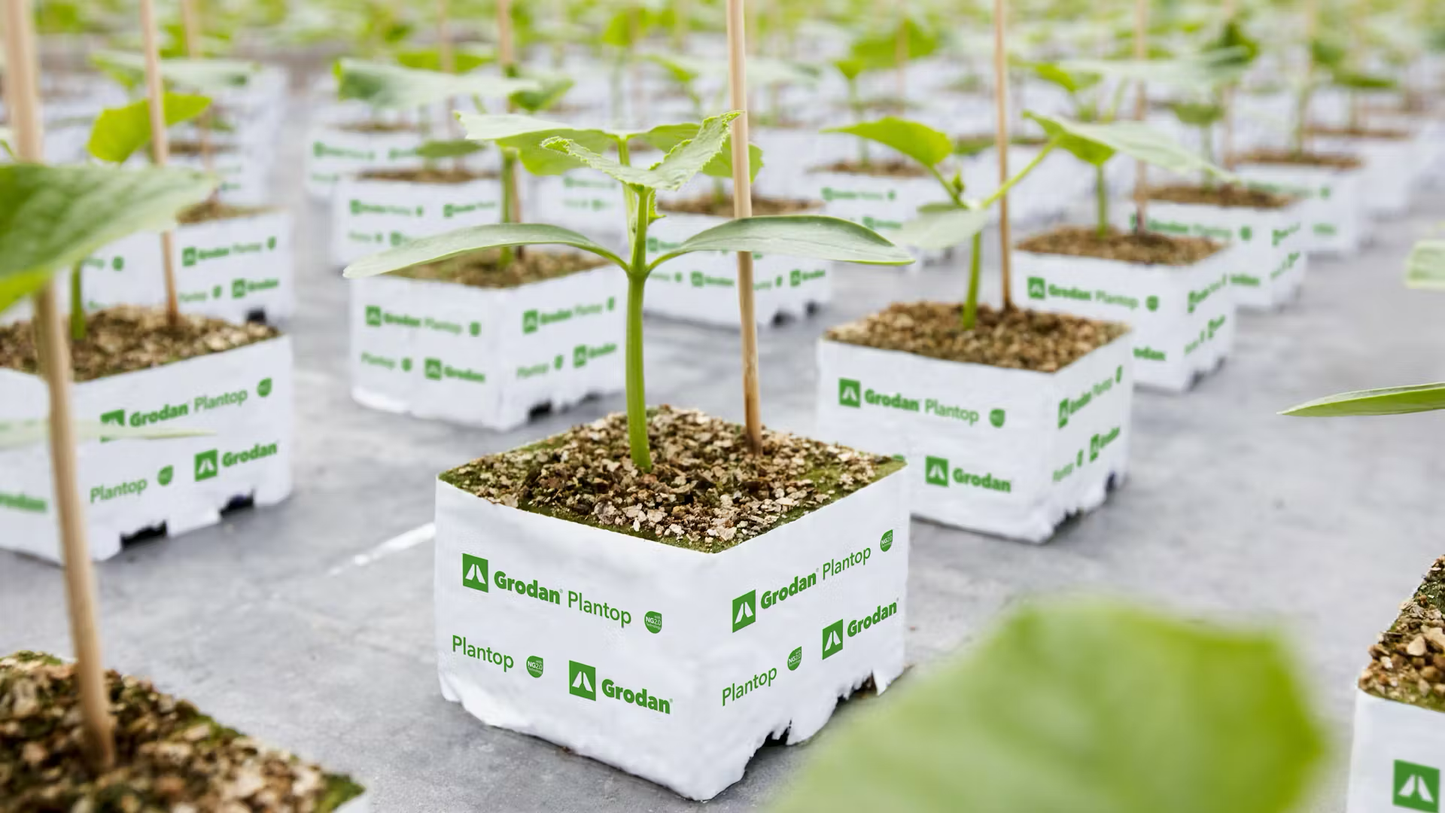 Grodan Plantop Block Propagation Rock Wool Hydroponics Substrate