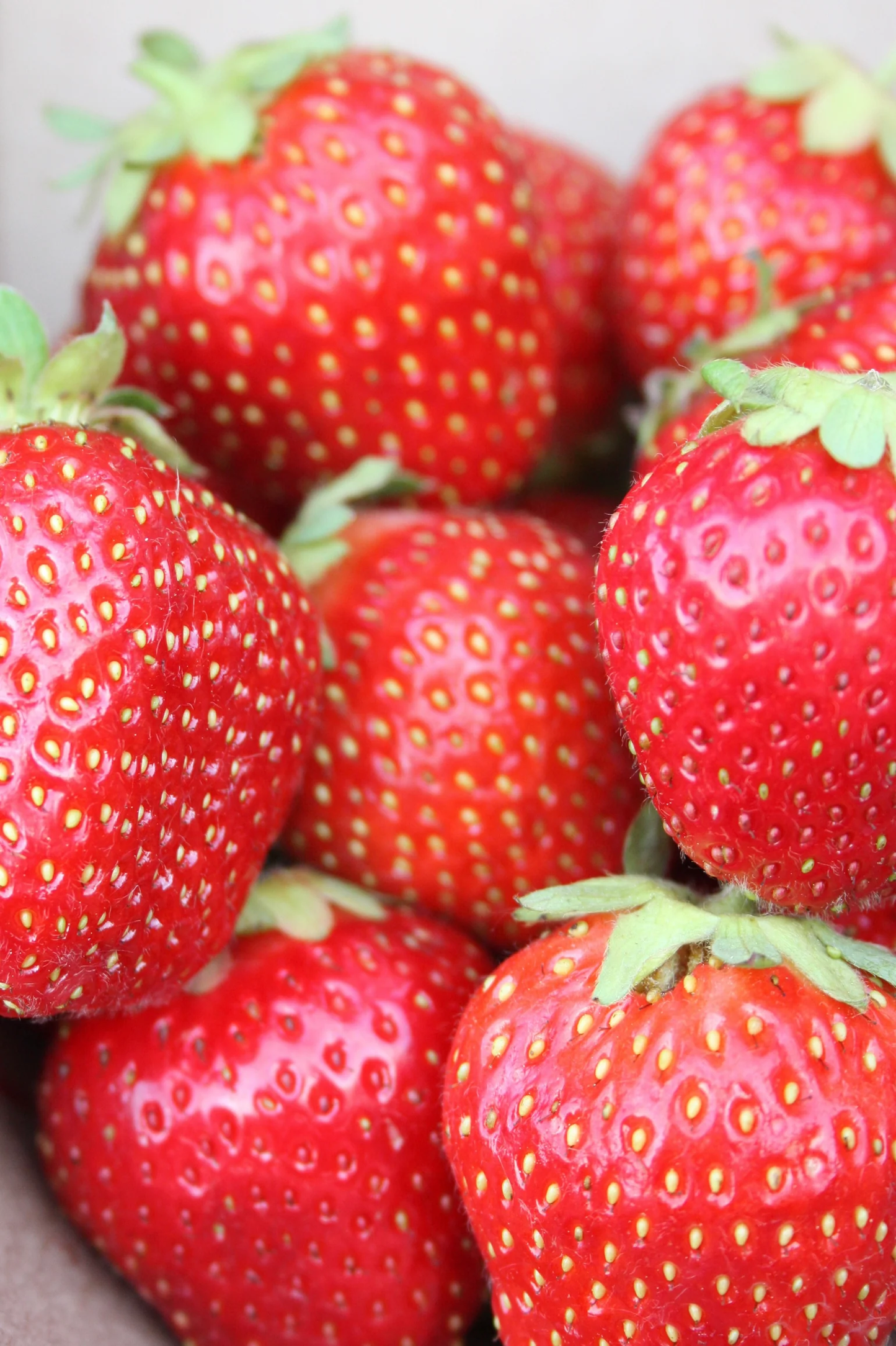 AAC-Kate Late Season Strawberry