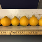 Shiranui Mandarin Budwood citrus plant material online shopping