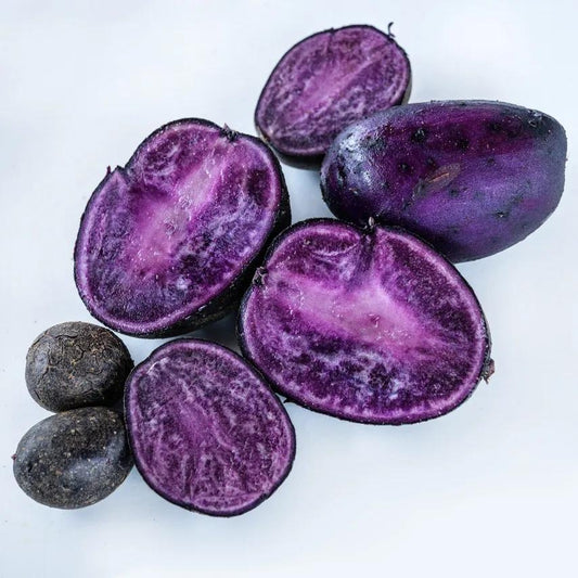 Purple Majesty Seed Potato online shopping
