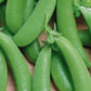 Super Sugar Snap Pea Seeds online shopping