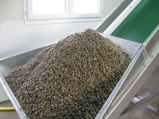 Hardouin Water Spat Sieving