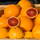 Tarocco Blood Orange Budwood citrus plant material online shopping
