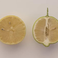 Millsweet Acidless Limetta Plant citrus plant material online shopping
