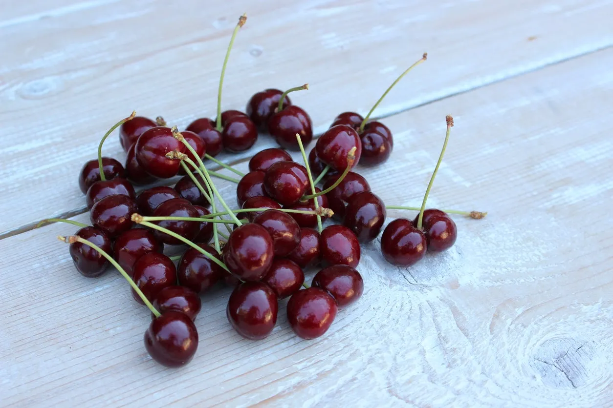 Benton® Sweet Cherry
