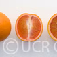Vaniglia Sanguigno Acidless Pigmented Sweet Orange Budwood citrus plant material online shopping