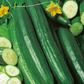 Tasty Green F1 Cucumber