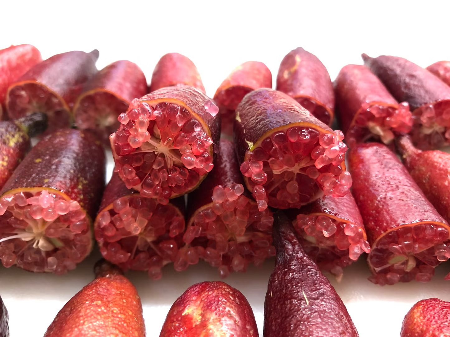 Ruby My Dear Australian Finger Lime Budwood citrus plant material online shopping
