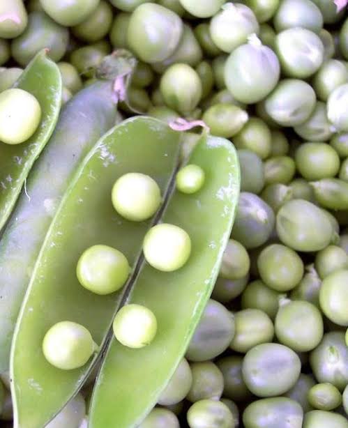 Alaska Shelling Pea