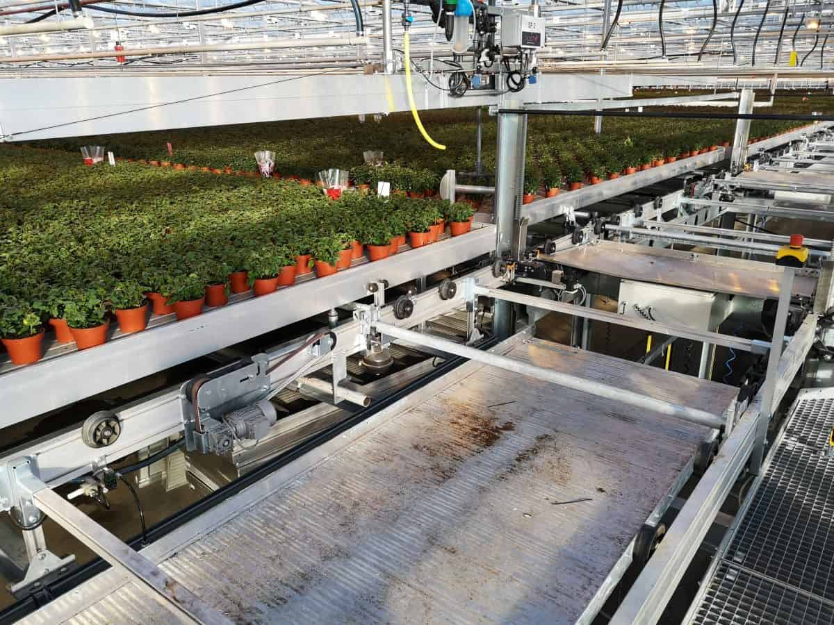 Active Aqua 4' Wide Infinity Tray  Ebb and Flow Flood Table