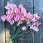 Rosay Sweet Pea seeds online shopping