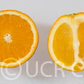 Bahianinha Araras Navel Orange Budwood citrus plant material online shopping