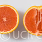 Variegated Cara Cara Pigmented Navel Orange Budwood citrus plant material online shopping