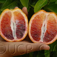 Smith Red Blood Orange Plant citrus plant material online shopping