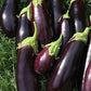 Diamond Aubergine