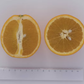 Pehrson #4 Valencia Orange Budwood citrus plant material online shopping