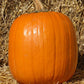 Howden Pumpkin Seeds online shopping
