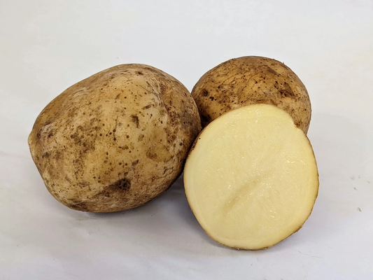 Elba Seed Potato online shopping