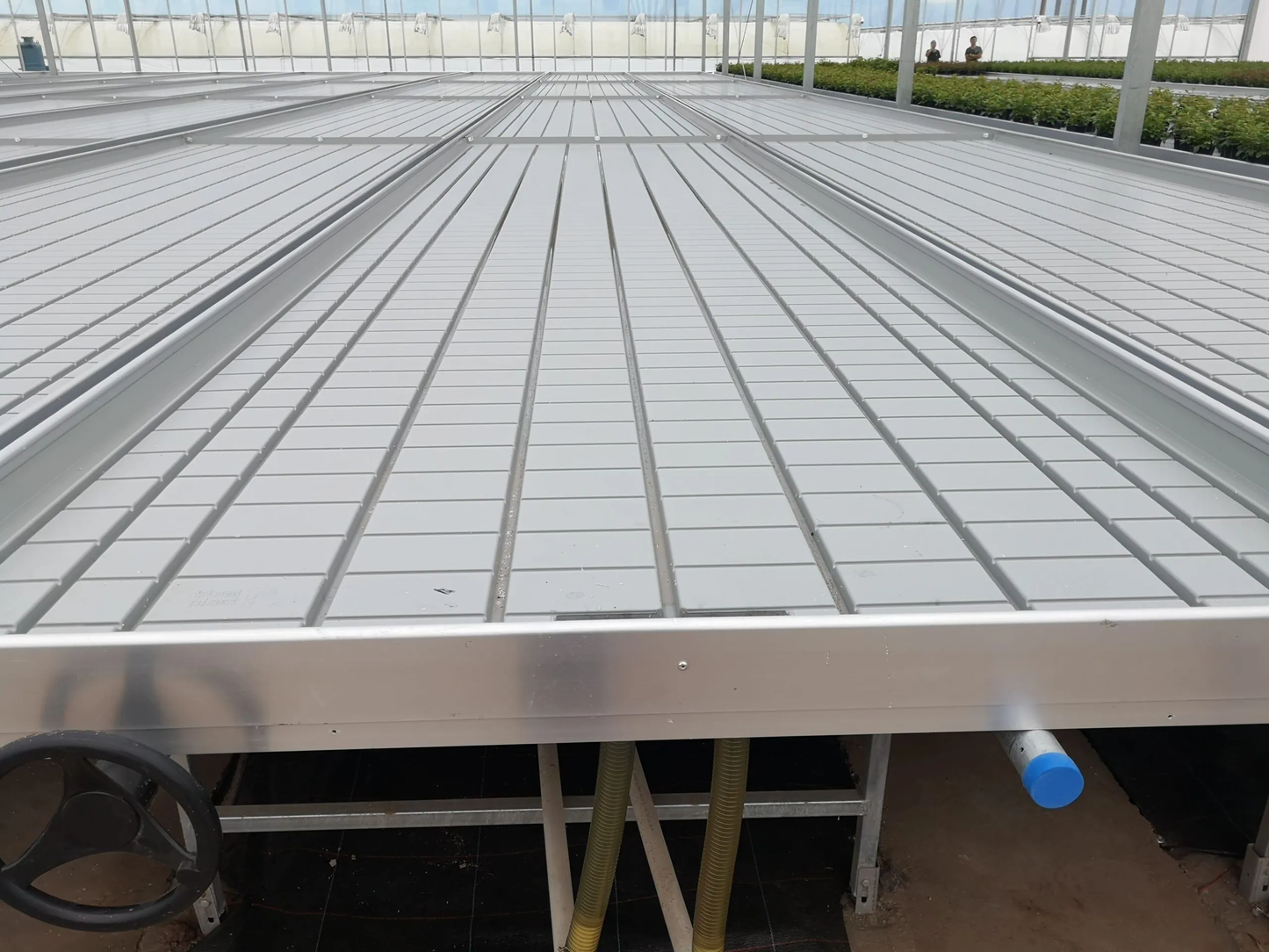 Active Aqua 4' Wide Infinity Tray  Ebb and Flow Flood Table