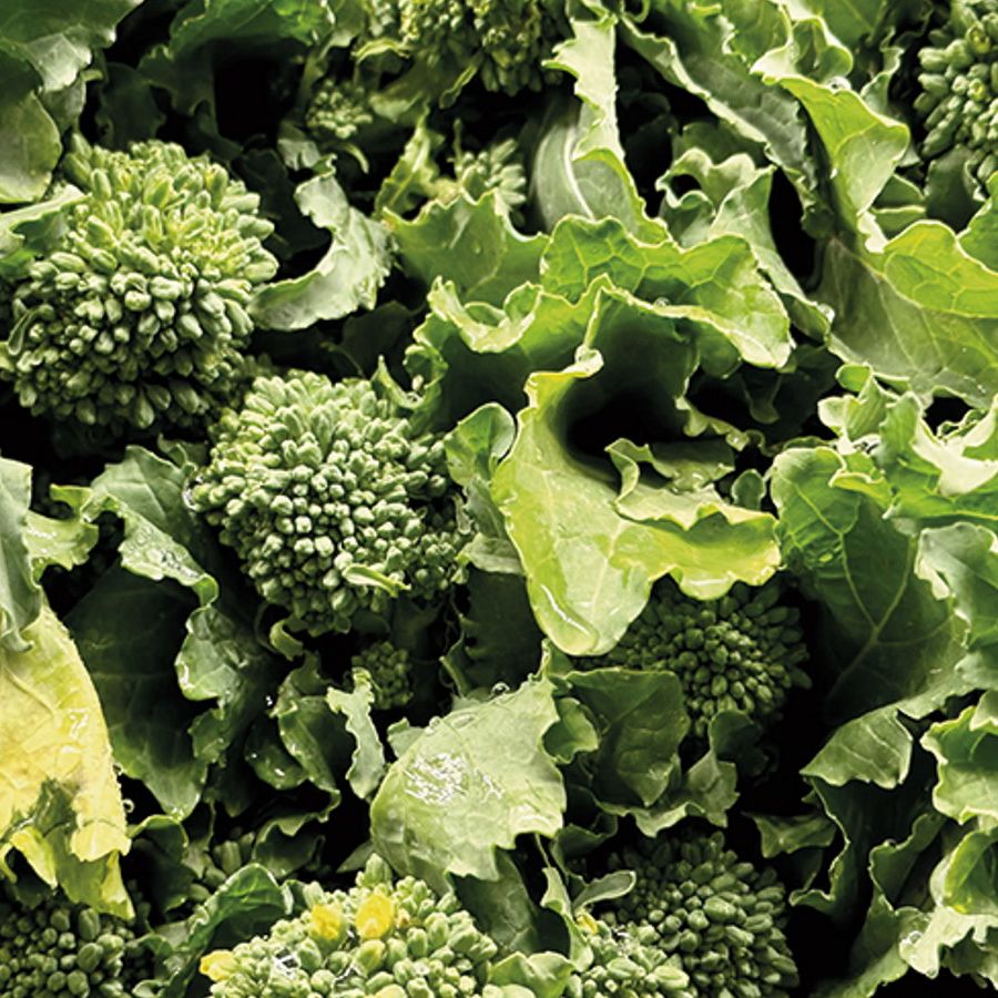 Sorrento Broccoli
