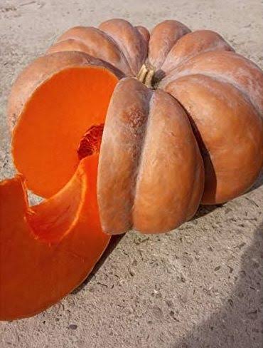 Musquee d'Hiver de Provence Pumpkin Seeds online shopping