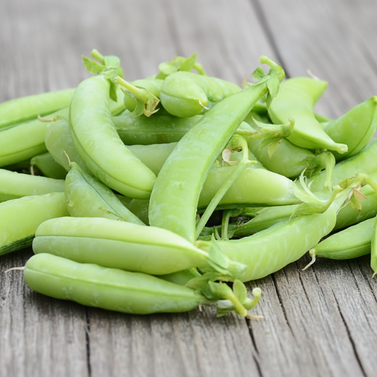 Sugar Ann Pea Seeds online shopping