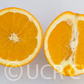 Skaggs Bonanza Navel Orange Budwood citrus plant material online shopping