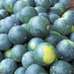 Sugar Baby Organic Watermelon