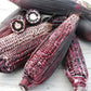 Double Red Corn