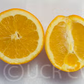 Dream Navel Orange Budwood citrus plant material online shopping