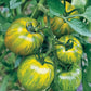 Green Zebra Organic Tomato